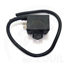 BOBINA DE IGNICAO AN 125 BURGMAN 05>09