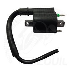 BOBINA DE IGNICAO FAN 125 KS 16>18