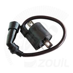 BOBINA DE IGNICAO DAFRA KANSAS 150 08>14