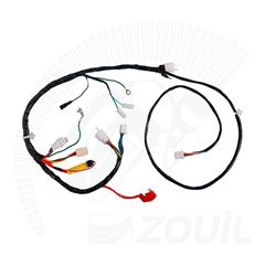 FIACAO PRINCIPAL C100 BIZ KS 00>01