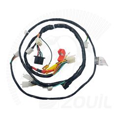FIACAO PRINCIPAL C100 BIZ KS 02>06