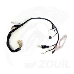 FIACAO PRINCIPAL CG 125 76>80