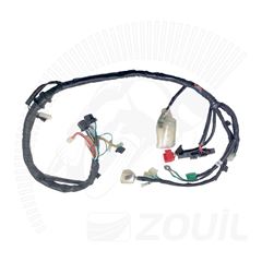 FIACAO PRINCIPAL FAN 125 ES 2012>2013
