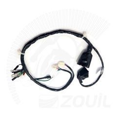 FIACAO PRINCIPAL CRF 230F 07>12