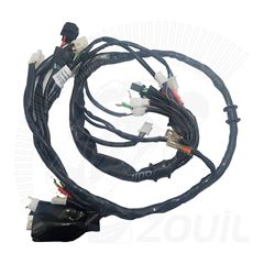 FIACAO PRINCIPAL CRYPTON T115 ED 10>11