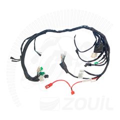 FIACAO PRINCIPAL DAFRA SPEED 150 > EURO