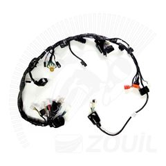FIACAO PRINCIPAL BROS 150 FLEX ES 11>
