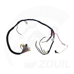 FIACAO PRINCIPAL RD135 89>99 / RD135Z 85