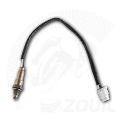 SONDA BURGMAN I 12>18 (GASO