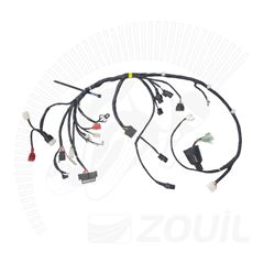 FIACAO PRINCIPAL BIZ125 FLEX ESD/EX 16>2