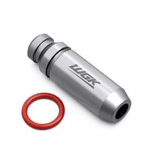 GUIA DA VALVULA ADM/ESC STD - BIZ 110I