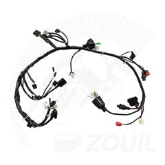 FIACAO PRINCIPAL CB 250F TWISTER 19>22