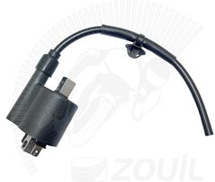 BOBINA IGNICAO PCX 150 14>22