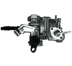 CARBURADOR SHINERAY X50 PHOENIX 2011>