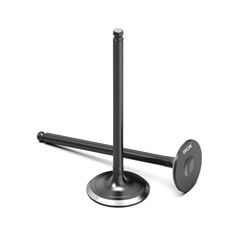 VALVULA ADMISSAO TITAN 160 / NXR BROS 160