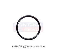 ORING INTERNO CATALIZADOR TITAN 150 (EMB 10 PC)