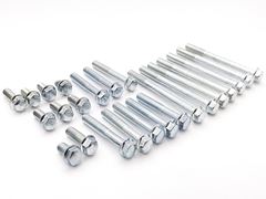 KIT PARAFUSO CARCACA MOTOR CG TITAN 150