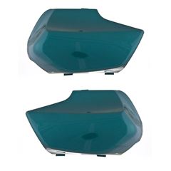 CAPA BENGALA VERDE RIVEIRA BIZ C100 00