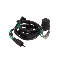 INTERRUPTOR EMERGENCIA CRF 230F