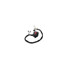 INTERRUPTOR EMERG/PART YES 125 05>06