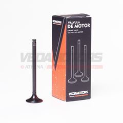 VALVULA ESCAPE FAN 125 09>18