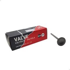 VALVULA ESCAPE BIZ 125 06>