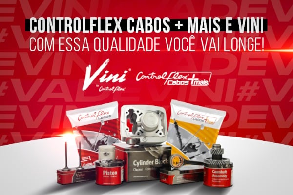 VINI